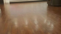 Floor Cleaning Sutton