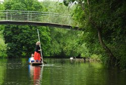 Punting Company