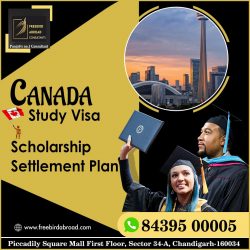 Study In Canada