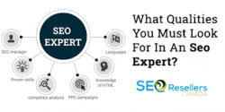 Get The Best Seo Services By Gigi Catalin Neculai