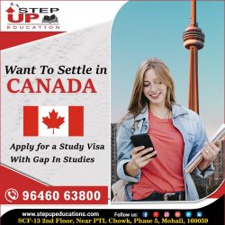 Settle In Canada With Study Visa