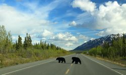 Top 7 Domestic Destinations in Canada | TravelJunction