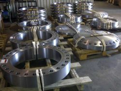 Alloy 20 Flanges