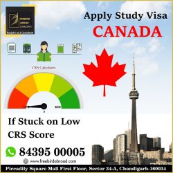 Canada Study Visa