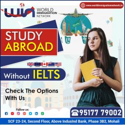 Study Abroad With / Without IELTS