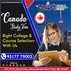 Study In Canada