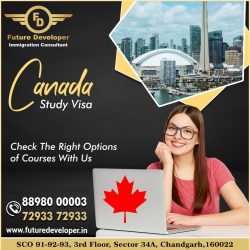 Study In Canada