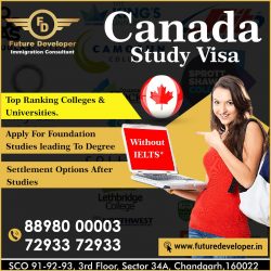 Study In Canada