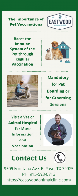 The Importance of Pet Vaccinations