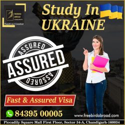 Ukraine Study Visa Without IELTS