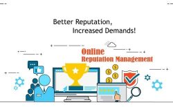 Leader in Online Reputation Management