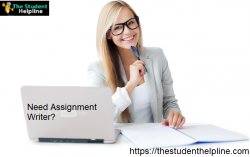 Write My Assignment UK