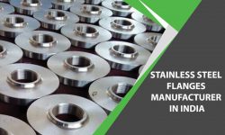 SS Flanges manufacturer in India