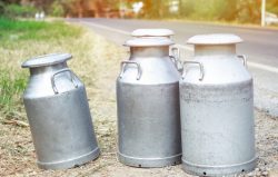 Aluminium Milk Cans