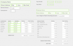 THE BASICS OF PAY STUBS