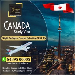 Apply for Canada Study Visa