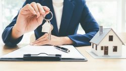 Expert in Business Development : Bernard McGowan