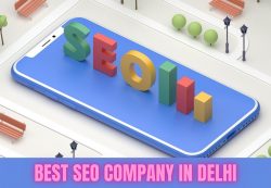 Best SEO Company in Delhi