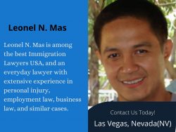 Leonuel N. Mas – Law Expertise