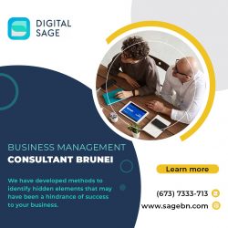 Business Management Consultant Brunei – Digital Sage