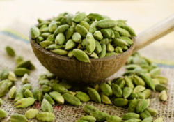 Cardamom Wholesalers in Bodinayakanur