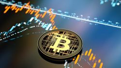 Cindy Ughanze | Understanding Cryptocurrency