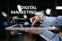 Digital Marketing Consultant