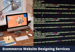 Ecommerce Website Designing Services