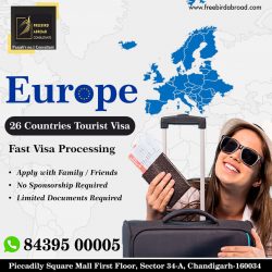 Europe 26 Countries Tourist Visa