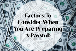 Factors To Consider When You Are Preparing A Paystub