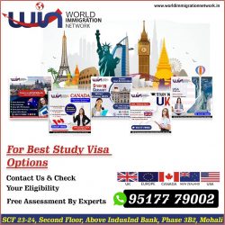 Best Study Visa Options