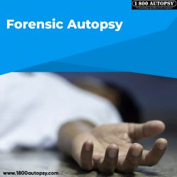 Forensic Autopsy