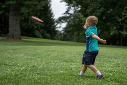 3 Successful Characteristics that make Disc Golf Players Become Creative, Interpersonal, and Social