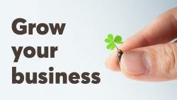 Help To Grow The Business – Brent Mcmahon BMC Consulting