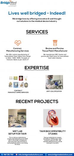 Bridgemed Solutions, Inc.