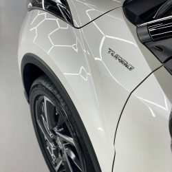 paint correction melbourne