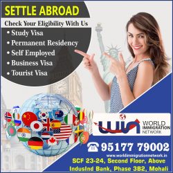 Settle Abroad