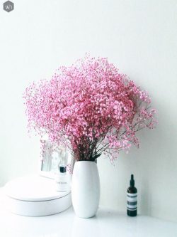 Buy Dried Flowers Online In India | Home Decor | Whispering Homes