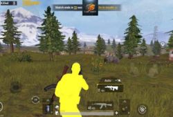 how to spectate in Pubg mobile emulator