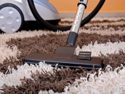 Get Eco-Friendly Rug Cleaning Services