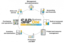 SAP Business One Price