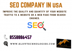 SEO Services in USA