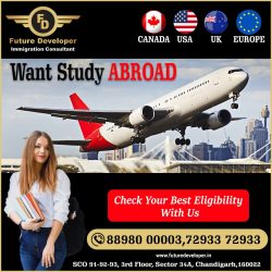 Studies Abroad With / Without IELTS