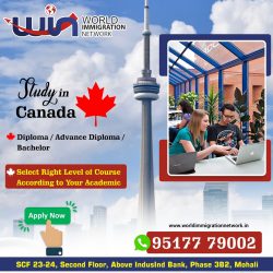 Study In Canada