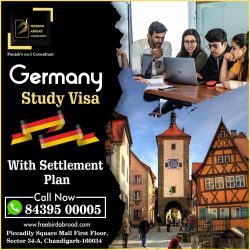 Study in Europe With Settlement Plan