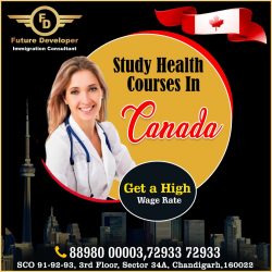 Study & Settle In Canada