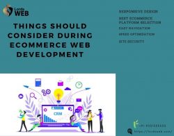 Things should consider during ecommerce web development