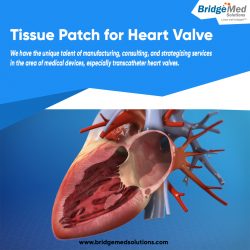 Tissue Patch for Heart Valve