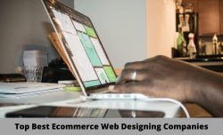 Top Ecommerce Designing Companies