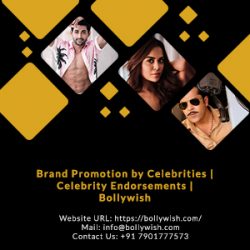 Bollywish offers video celebs
